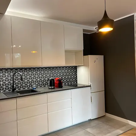 Comfort In Apartamento Poznan